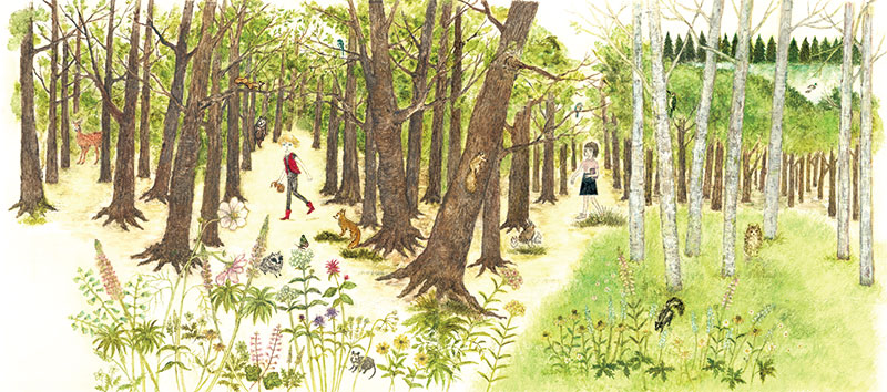 小手鞠るい著『少女は森からやってきた』装画　PHP出版